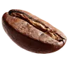 Roasted coffee bean